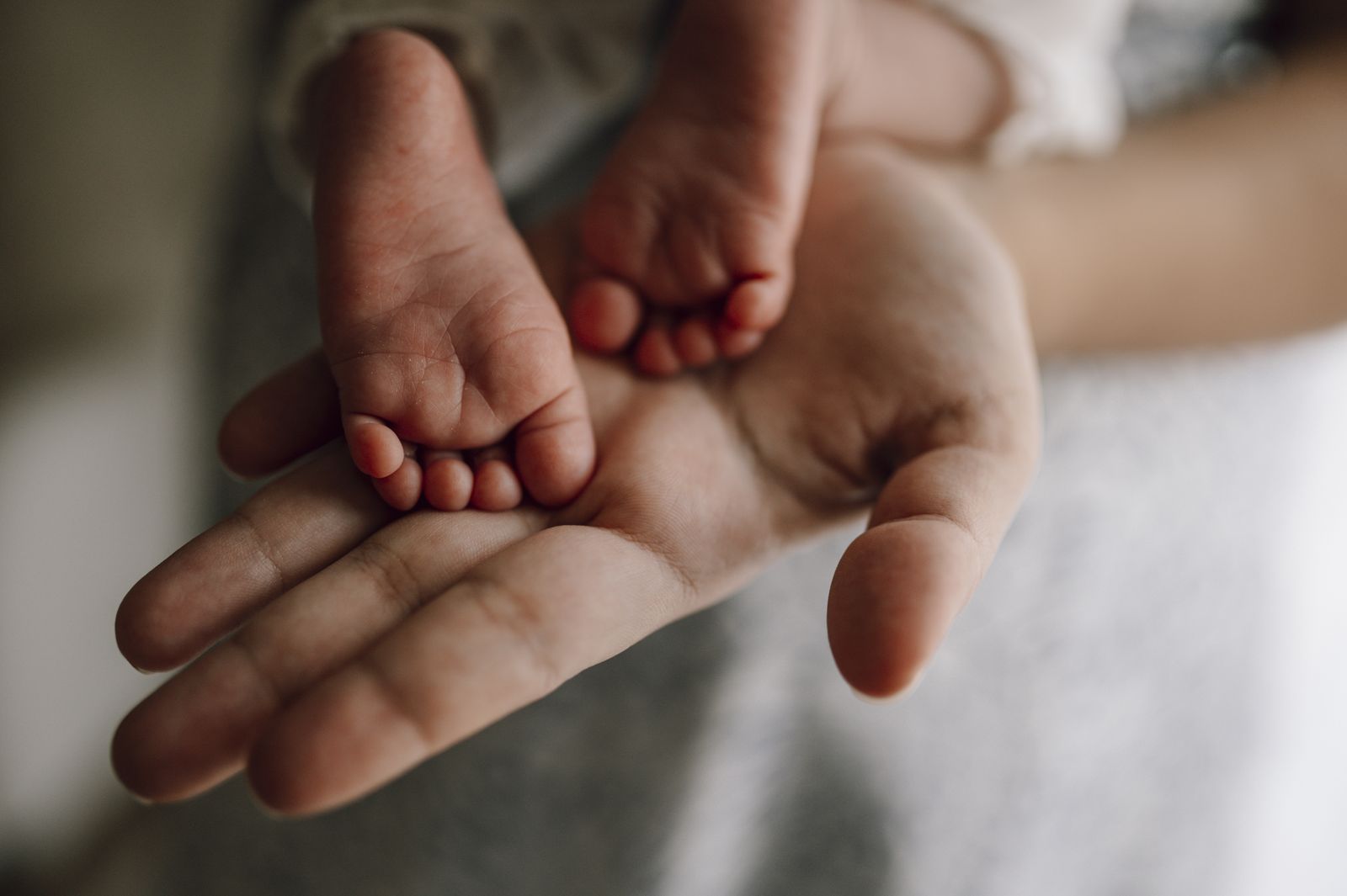 Pieds d'un nouveau-né délicatement posés dans la main de sa maman